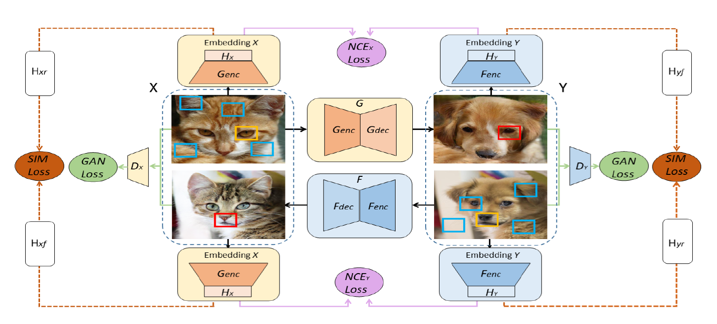 [GAN 시리즈][DCLGAN] Dual Contrastive Learning for Unsupervised Image-to-Image Translation - 1편